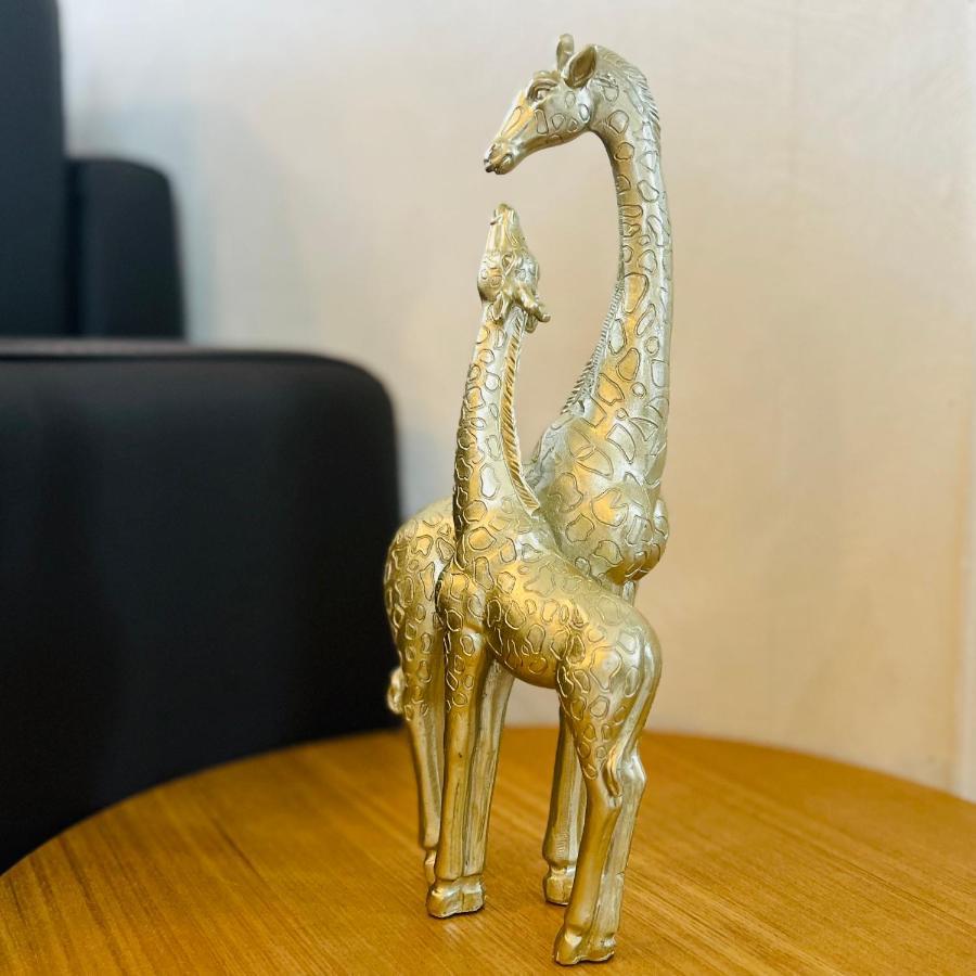 "Le Savanna" Magnifique T3 Montlucon Centre - Hopital - Parking Gratuit Εξωτερικό φωτογραφία